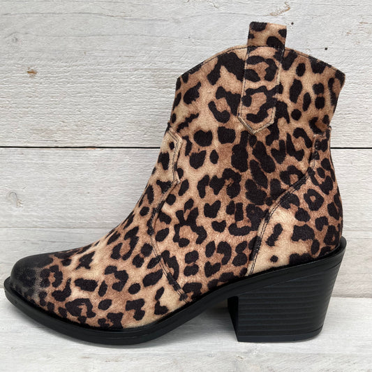 Laag panterlaarsje met donkere neus