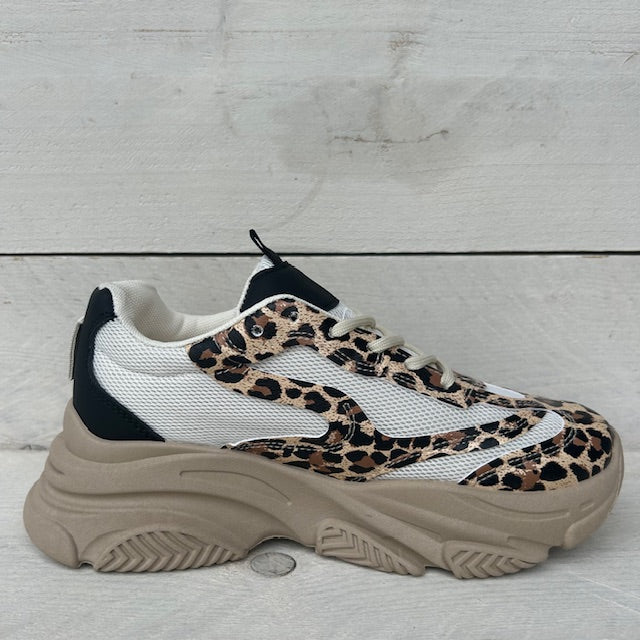 Chelseaboots zwart met siergesp