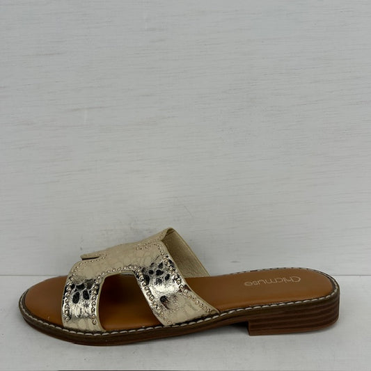 Geweldige zomerse slippers goud